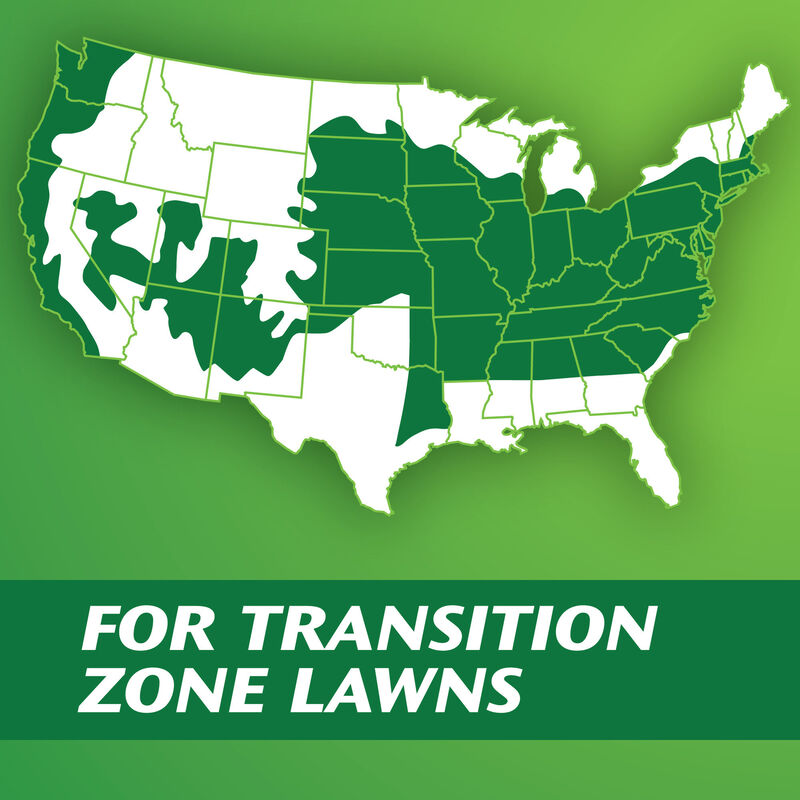 Scotts&reg; PatchMaster&reg; Lawn Repair Mix Tall Fescue Mix image number null